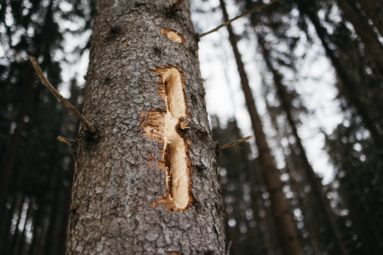 &bullet;  Fotó: Olti Angyalka