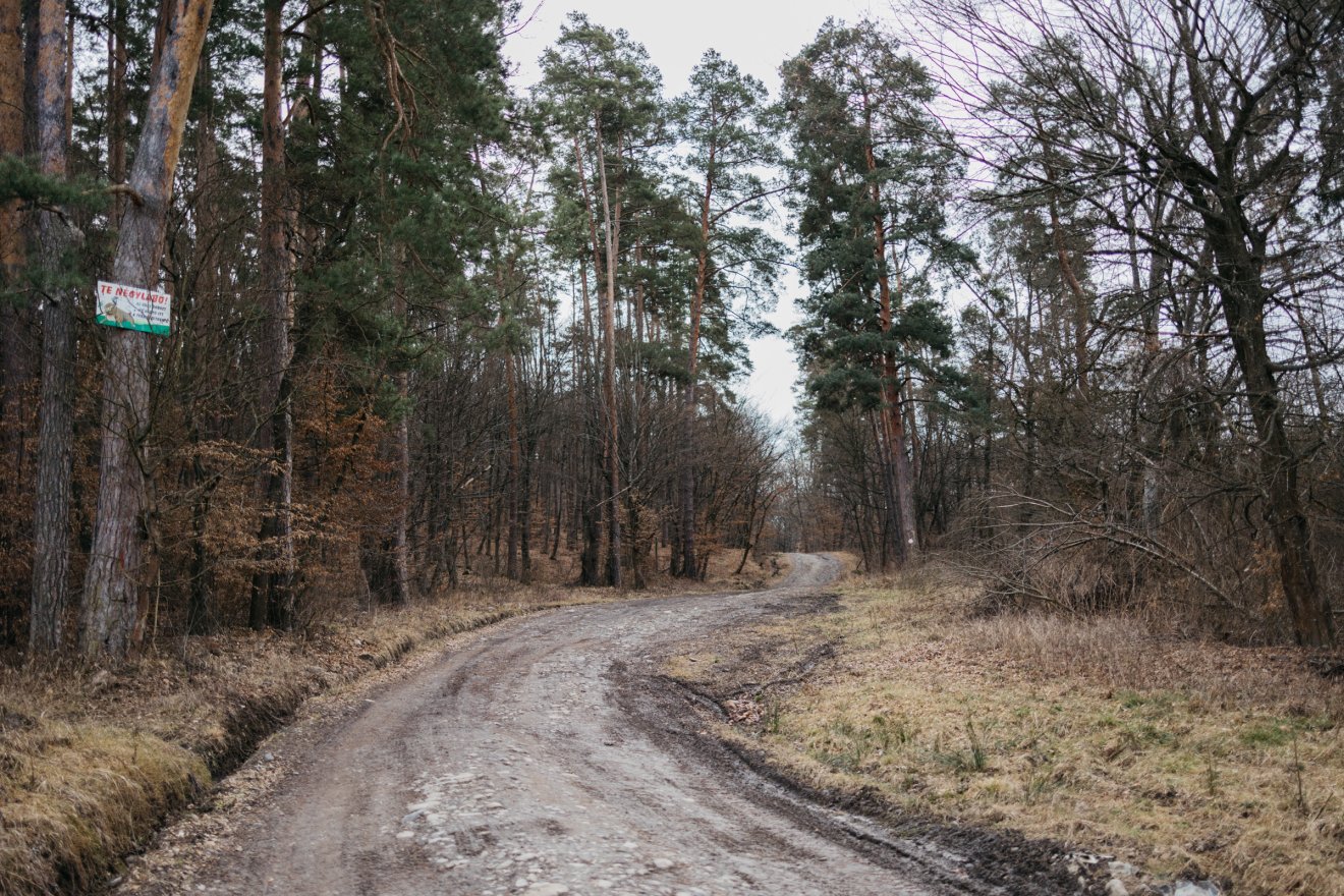 Egyelőre marad a sár a Kerekerdőn átvezető úton