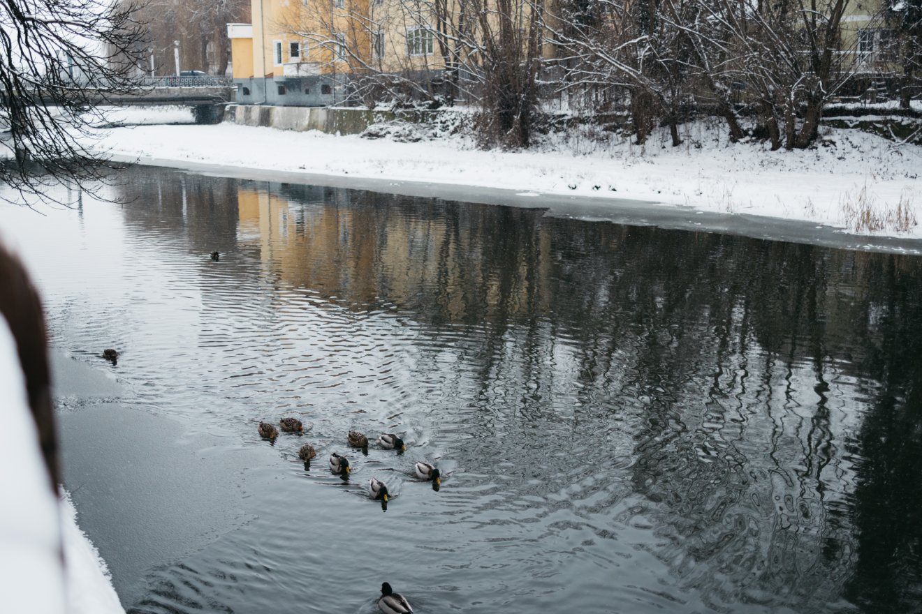 &bullet;  Fotó: Olti Angyalka