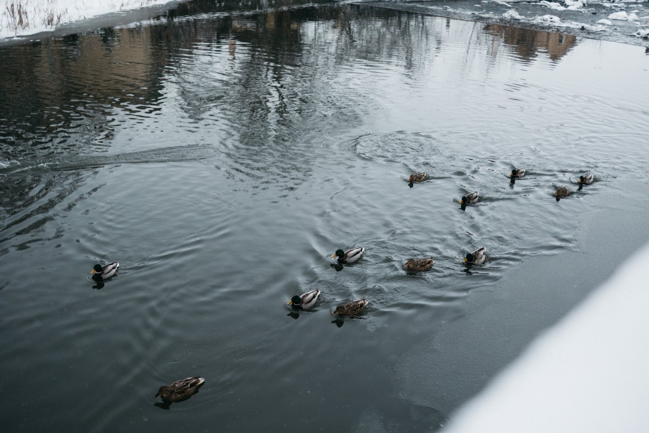 &bullet;  Fotó: Olti Angyalka