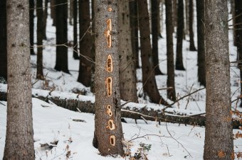 „Harkályfurulyák” a Madarasi Hargita lábánál