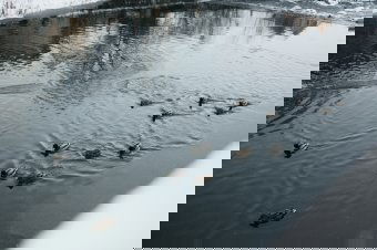 Felmelegedés után újabb lehűlés – ezt tartogatja február első felének időjárása