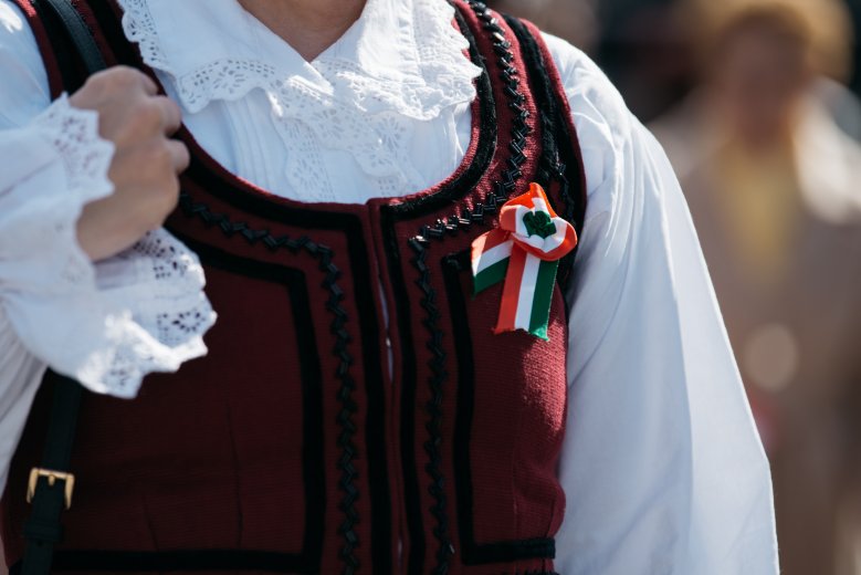 Anyaország-külhoniak ellentét, támogatások és az árokbetemetés felelőssége