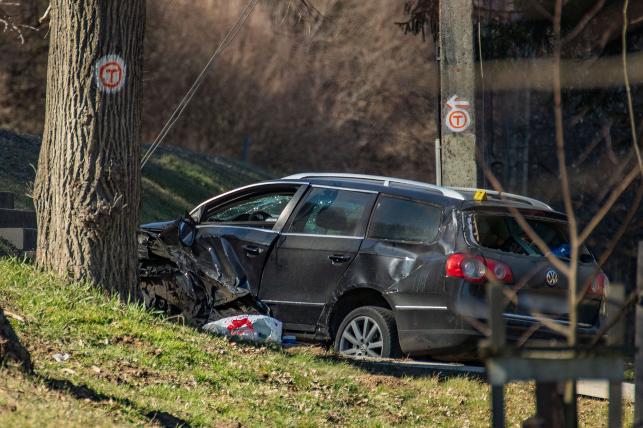 &bullet;  Fotó: László Ildikó