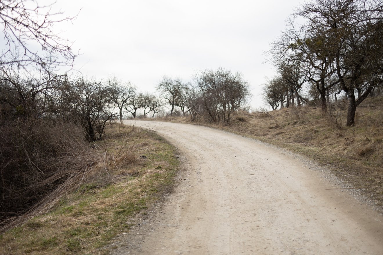 &bullet;  Fotó: Olti Angyalka