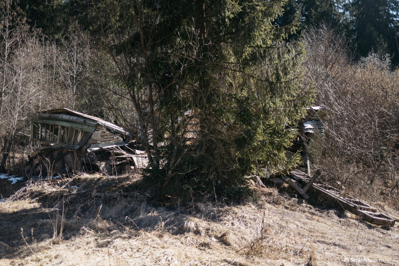 &bullet;  Fotó: Olti Angyalka