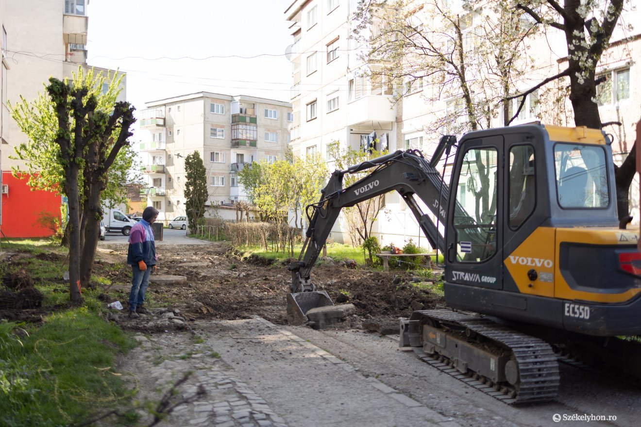 Fákat is kivágnak a munkálatok során, de ültetnek másokat helyettük &bullet;  Fotó: Olti Angyalka