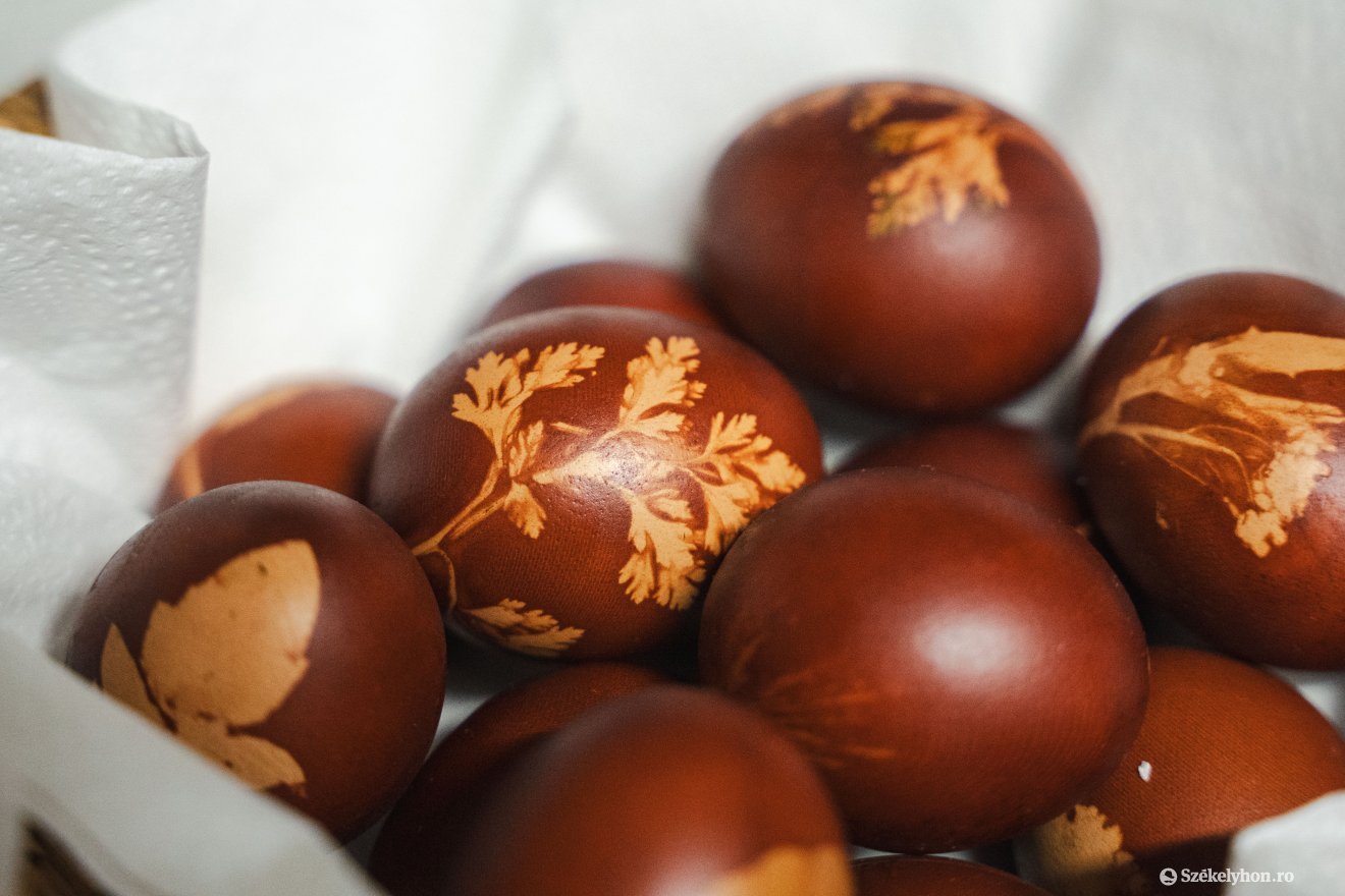 &bullet;  Fotó: László Ildikó