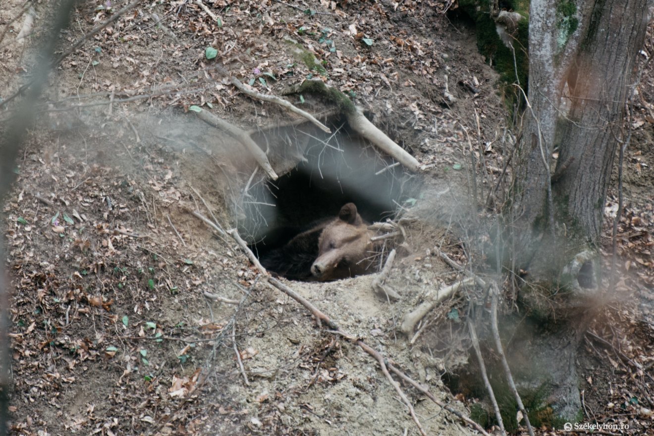 &bullet;  Fotó: Olti Angyalka