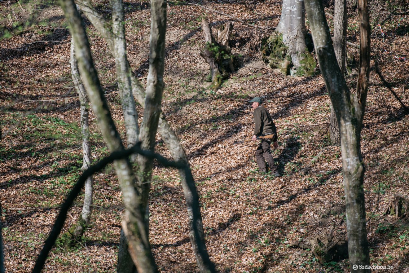 &bullet;  Fotó: Olti Angyalka