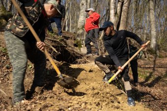 Elhagyta a barlangját a sóskúti diákszálló közelében telelő hárombocsos anyamedve