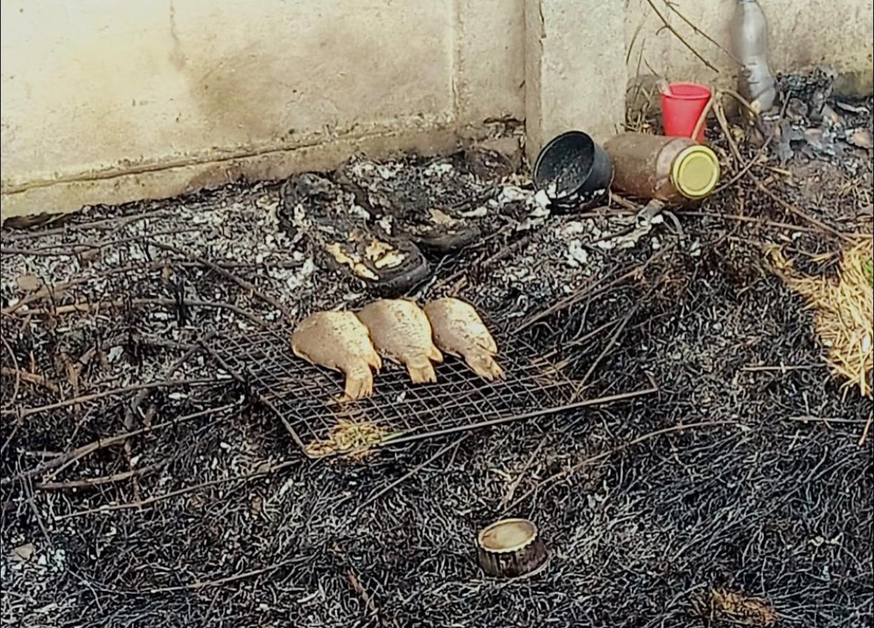 Balul „sült el” a halsütés Udvarhelyen