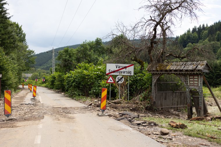 Kidőlt fák és feltört aszfalt után zajlik a kárelhárítás