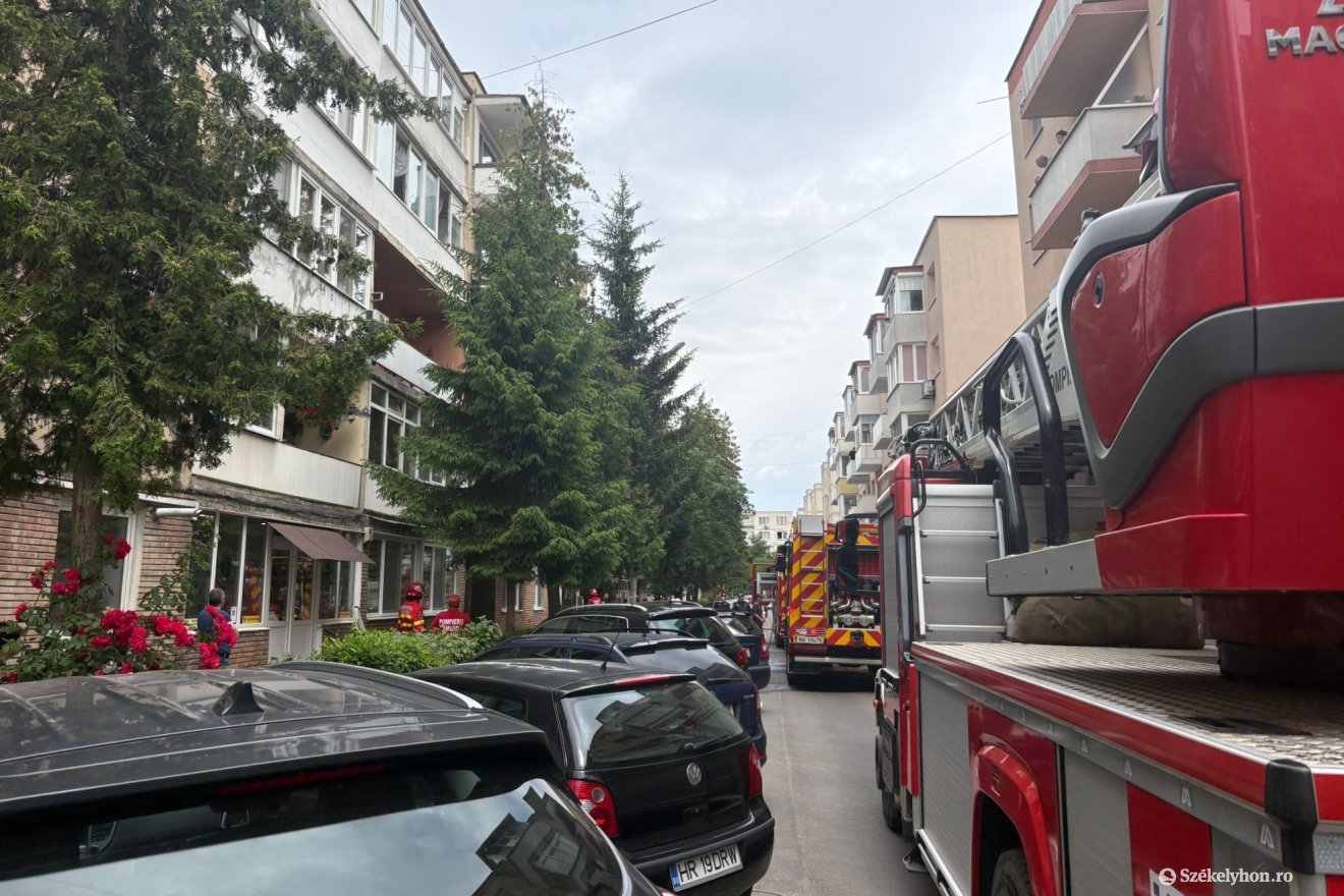 • Fotó: olti angyalka