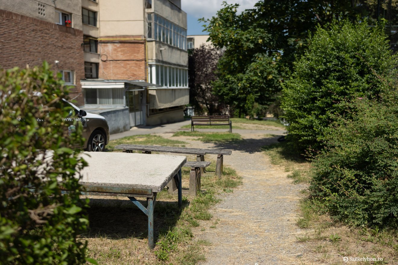 &bullet;  Fotó: olti angyalka