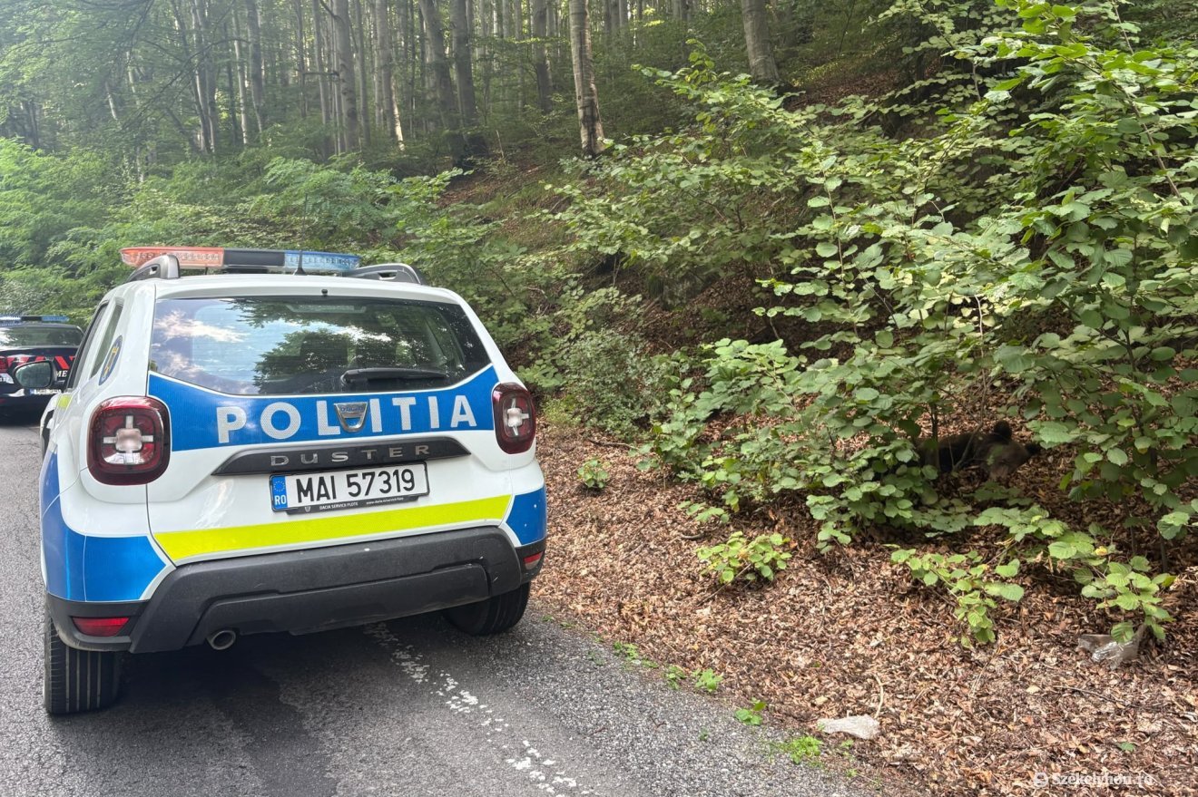 &bullet;  Fotó: Olti Angyalka