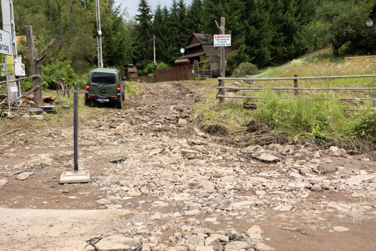 Kidőlt fák és feltört aszfalt után zajlik a kárelhárítás