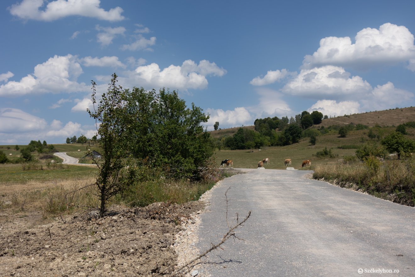 &bullet;  Fotó: Olti Angyalka