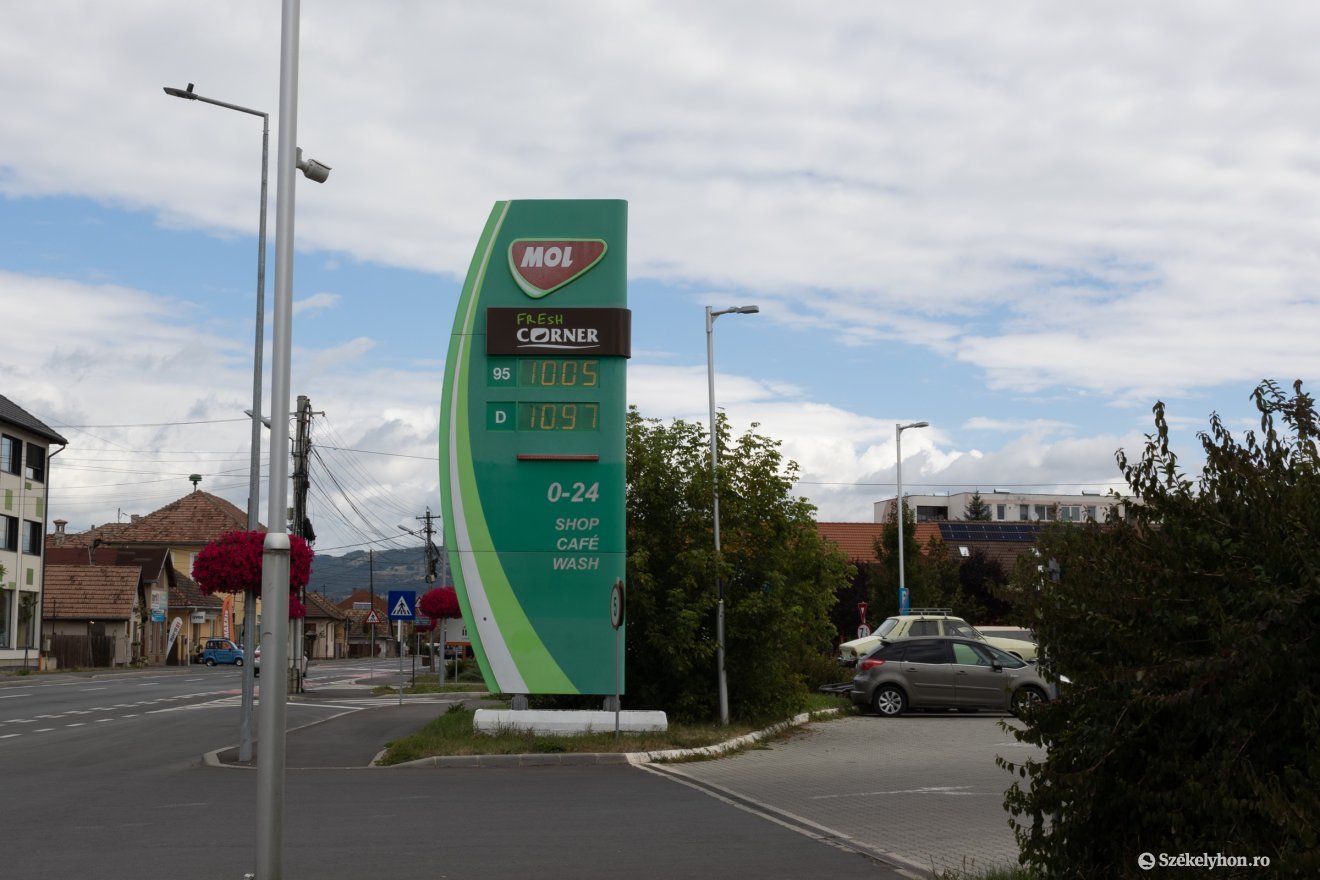 • Fotó: Olti Angyalka