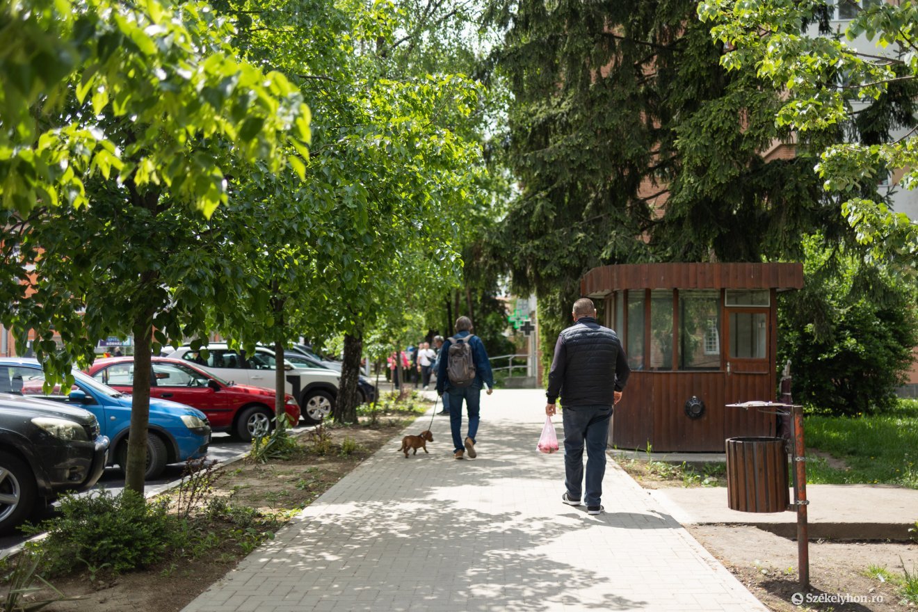 Sikeres volt a beavatkozás a Köztársaság-negyedben