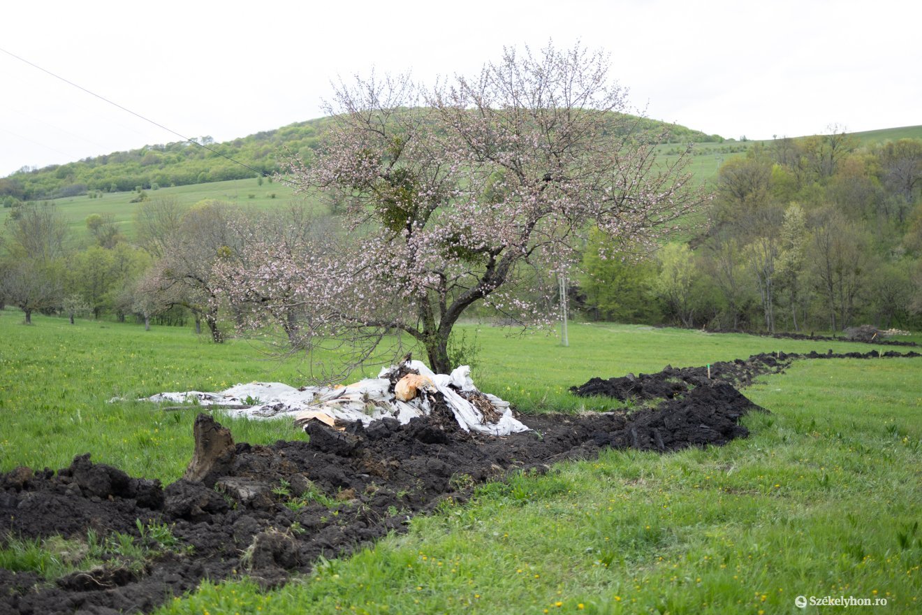 &bullet;  Fotó: Olti Angyalka