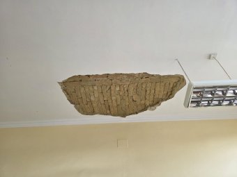 Nem állt le az oktatás a leomlott vakolatrész miatt a székelyudvarhelyi iskolában