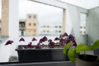 Várat még magára a strandszezon, inkább bekuckózásra csábít a hétvége időjárása