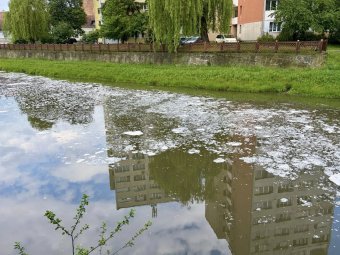 Habos szennyeződés jelent meg a Nagy-Küküllő székelyudvarhelyi szakaszán