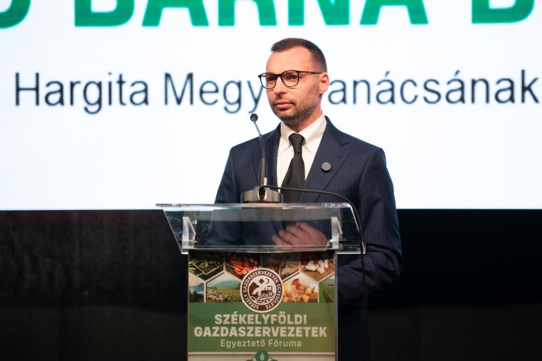 Székelyföldi politikus: az erdélyi és a magyarországi magyarok más-más tapasztalatok alapján döntöttek a választáson