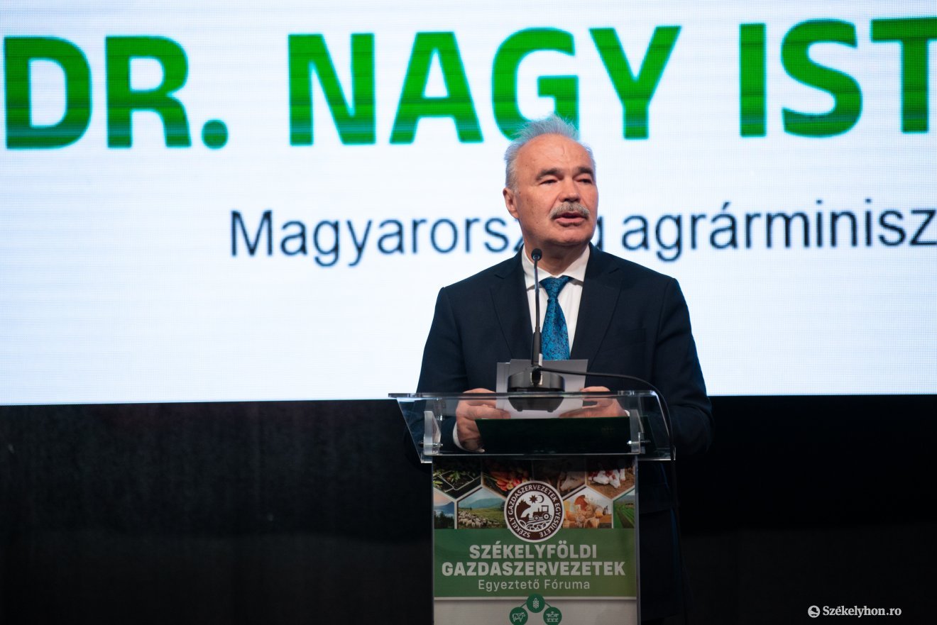 &bullet;  Fotó: Olti Angyalka