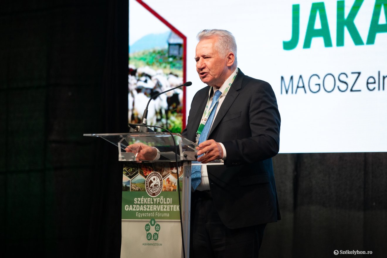 &bullet;  Fotó: Olti Angyalka