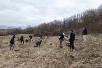 Elpusztult facsemetéket pótoltak a Szarkakőnél