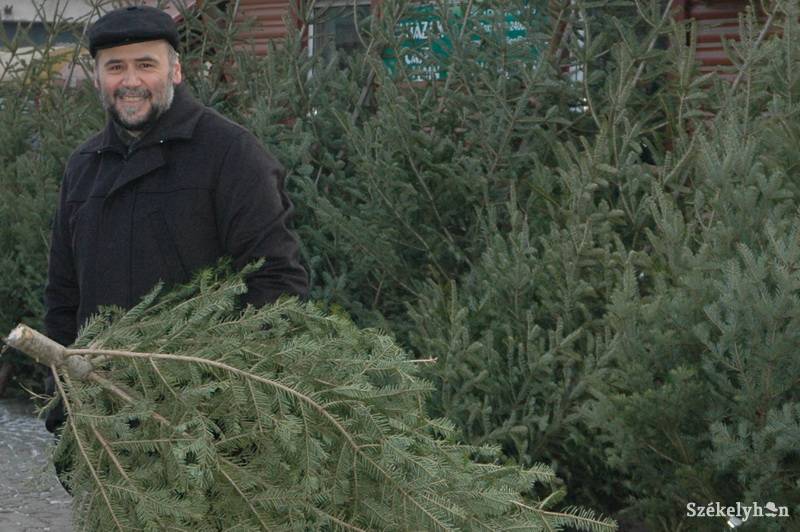 •  Fotó: matyas szabolcs