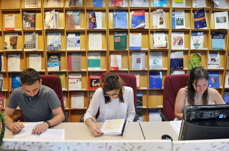 Egyetemi kínálat Marosvásárhelyen, magyar nyelven