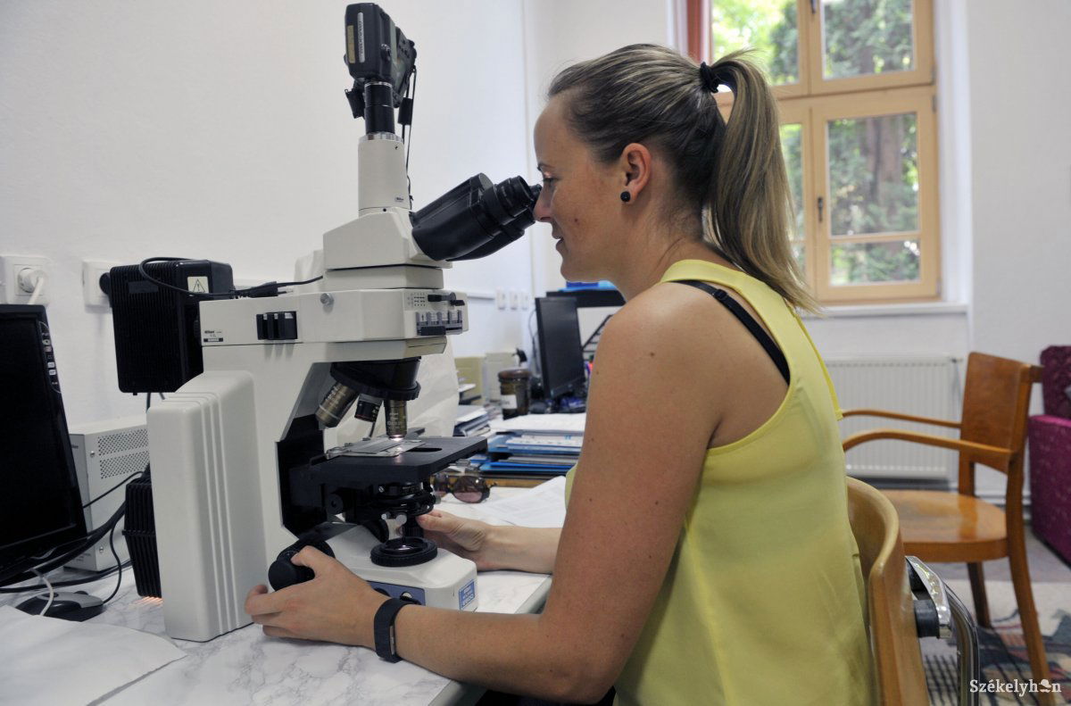 Továbbtanulás előtt érdemes górcső alá venni az elhelyezkedési esélyeket az adott szakmában •  Fotó: Beliczay László