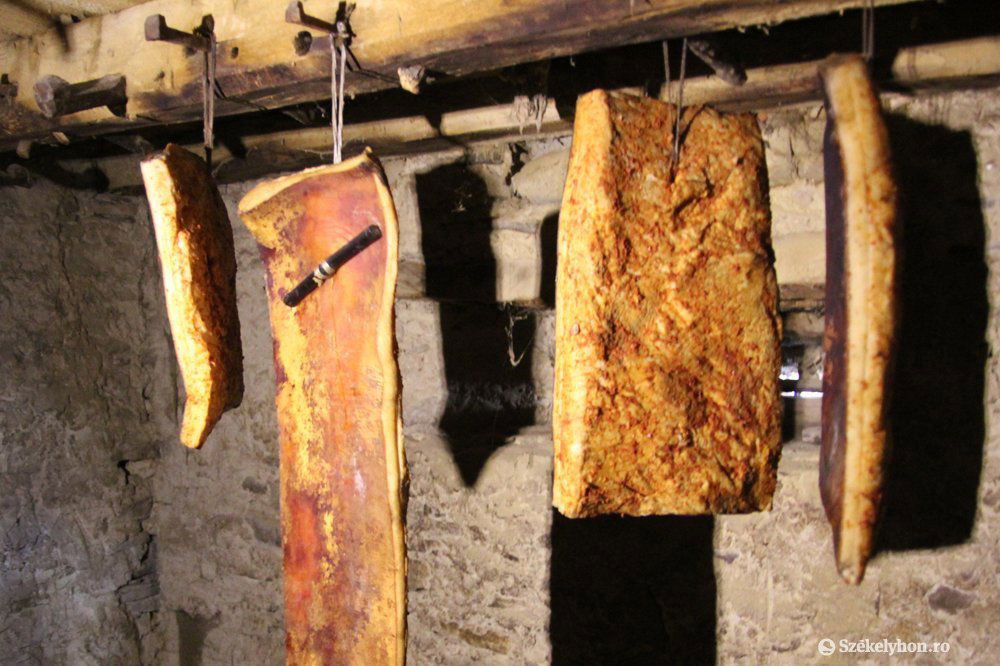 •  Fotó: Farkas Antal