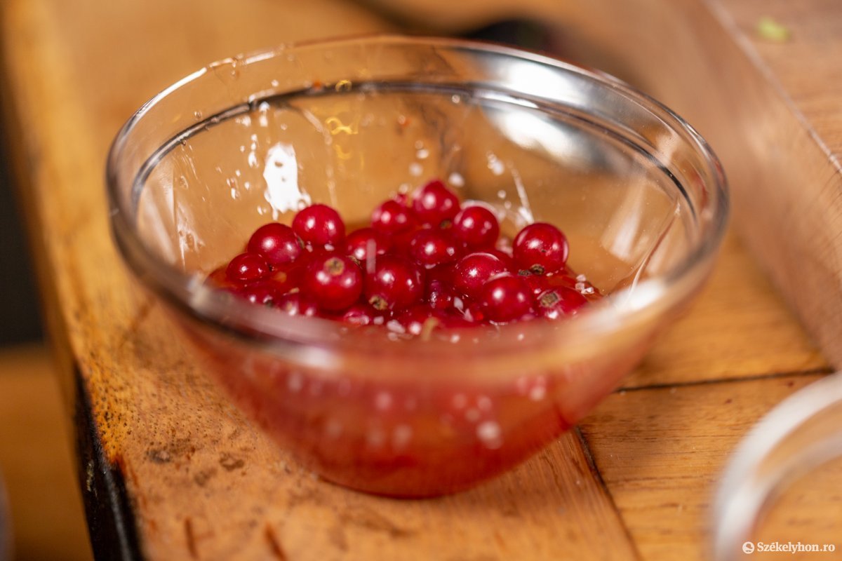 A ribizlimártás jól kiegészíti az ételt •  Fotó: Erdély Bálint Előd