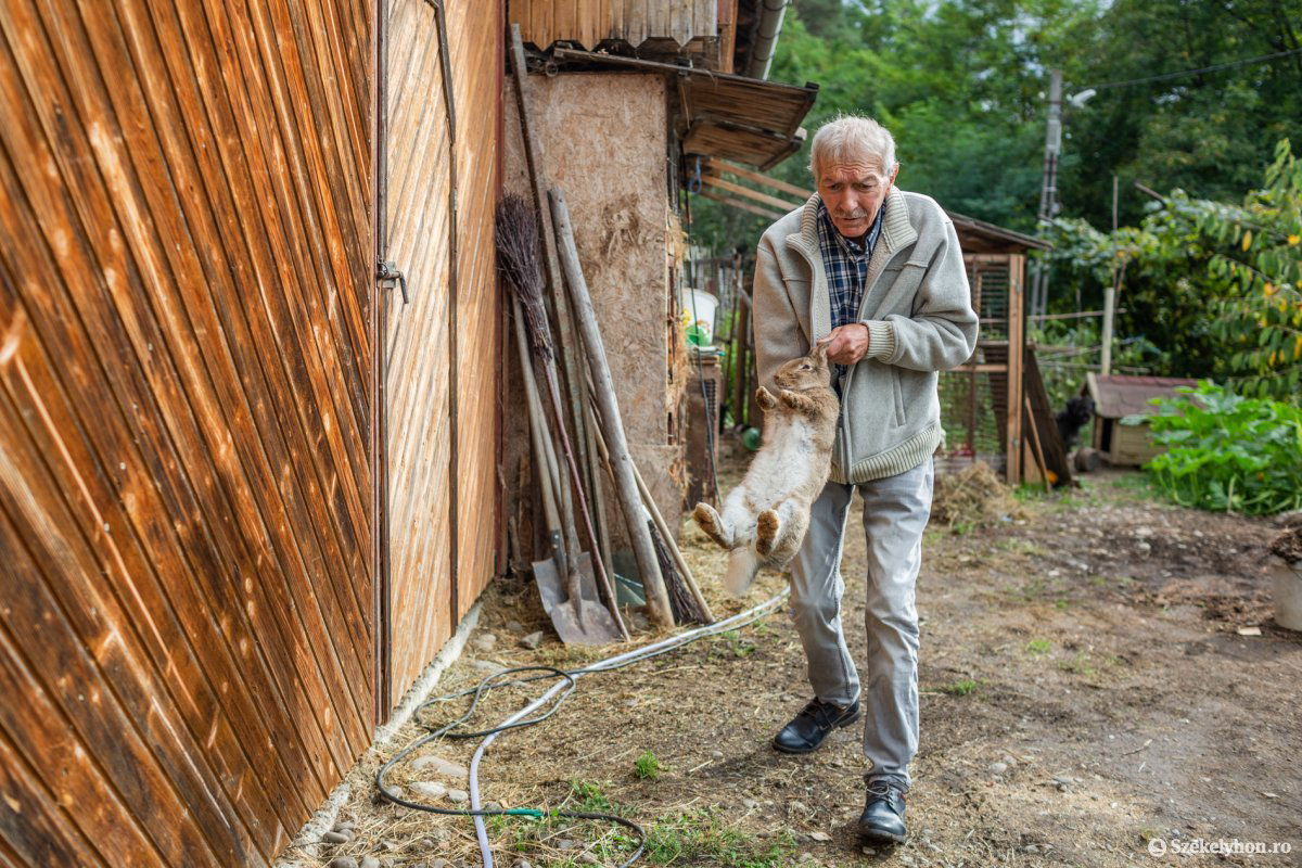 Meglehetősen egyszerű a nyulak tartása •  Fotó: Erdély Bálint Előd