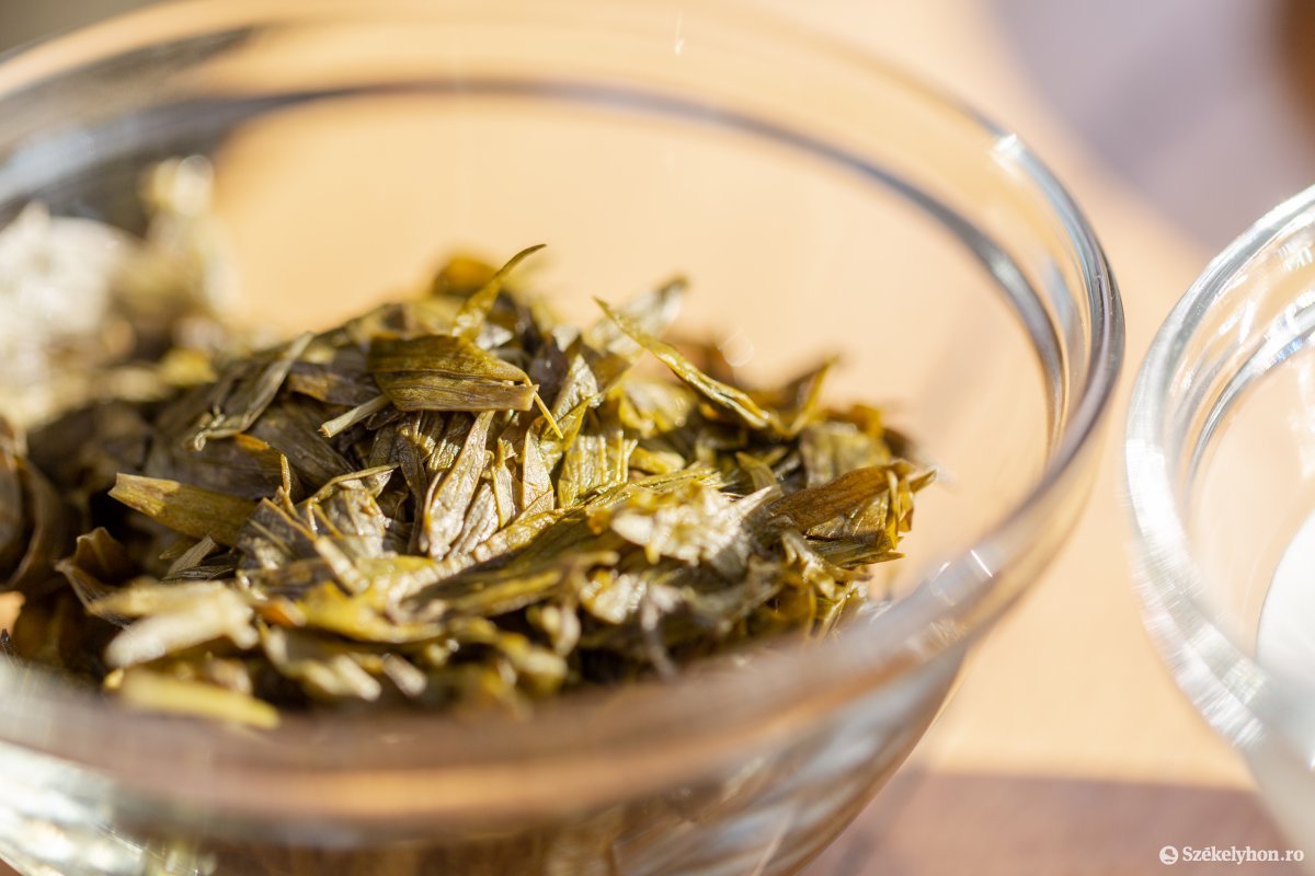 A tárkony az egyik legősibb fűszernövényünk