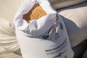 Magyarok Kenyere – 15 millió búzaszem: hátrányos helyzetű személyek étkeztetéséhez lehet hozzájárulni