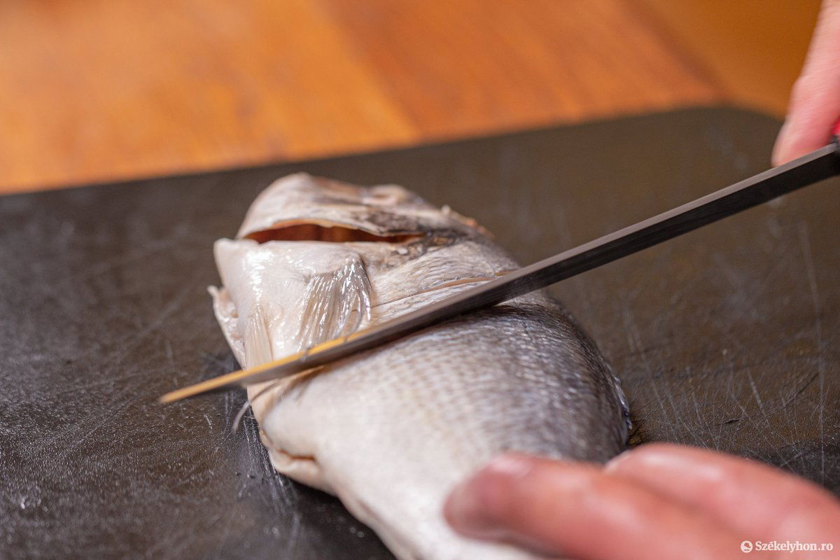 &bullet;  Fotó: Erdély Bálint Előd