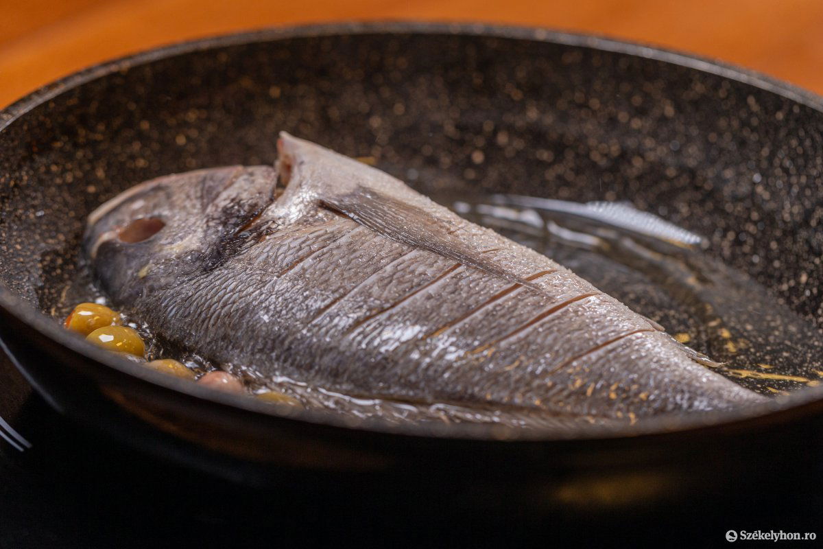 &bullet;  Fotó: Erdély Bálint Előd