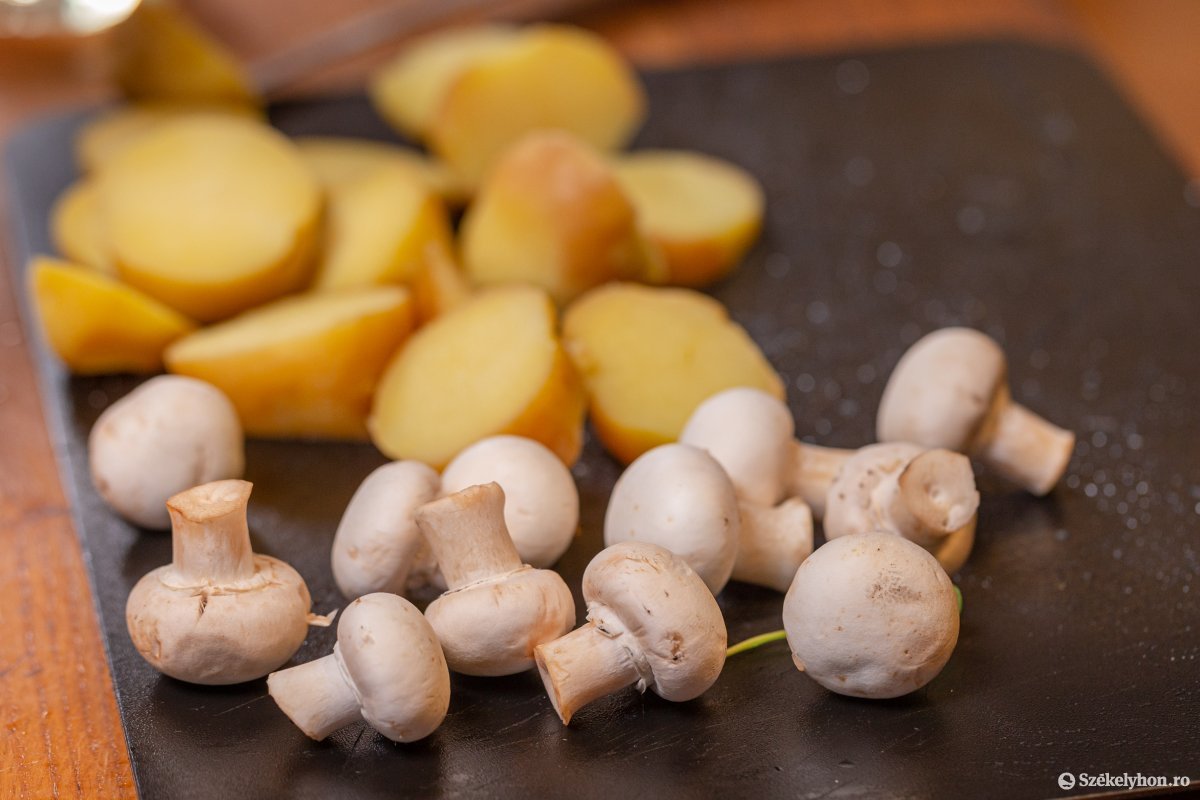 &bullet;  Fotó: Erdély Bálint Előd