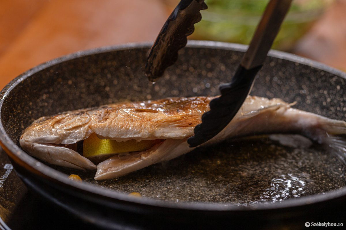 &bullet;  Fotó: Erdély Bálint Előd