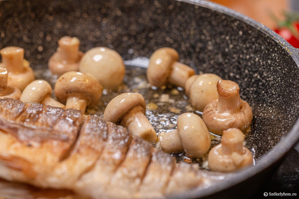 &bullet;  Fotó: Erdély Bálint Előd