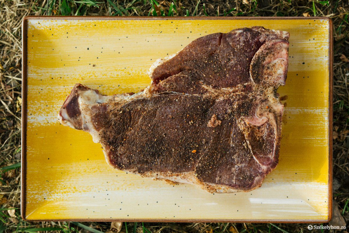 Márványszerű húsa van az angus marhának •  Fotó: Fülöp Attila