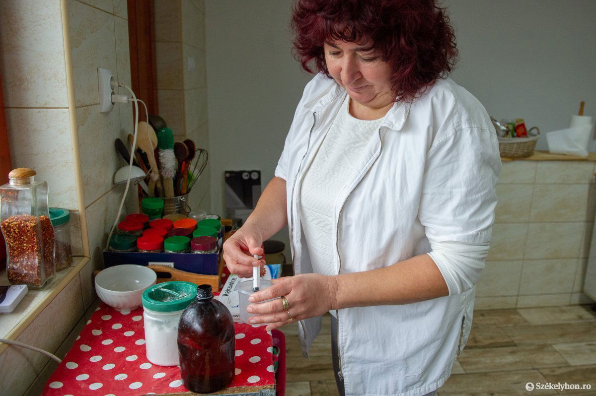 A tej beoltásával indul a sajtkészítés folyamata •  Fotó: Beliczay László
