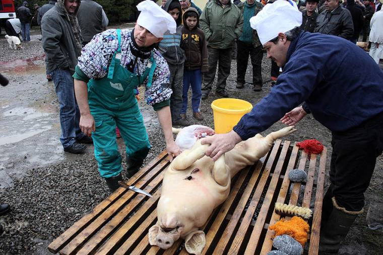 Trichinosis Maros megyében