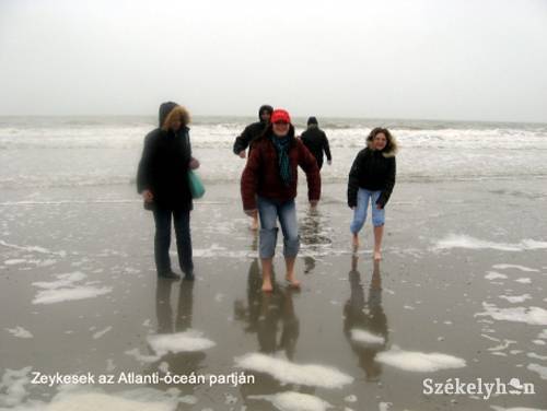 •  Fotó: P. Dávid Tünde