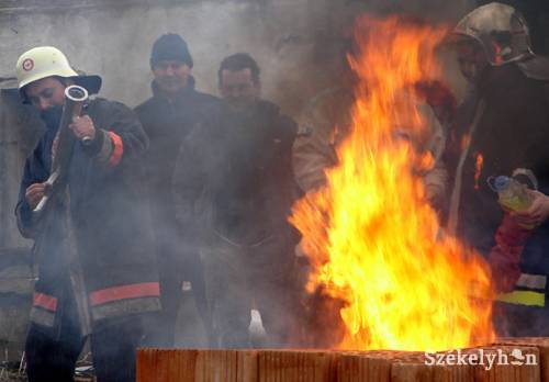 •  Fotó: P. Dávid Tünde